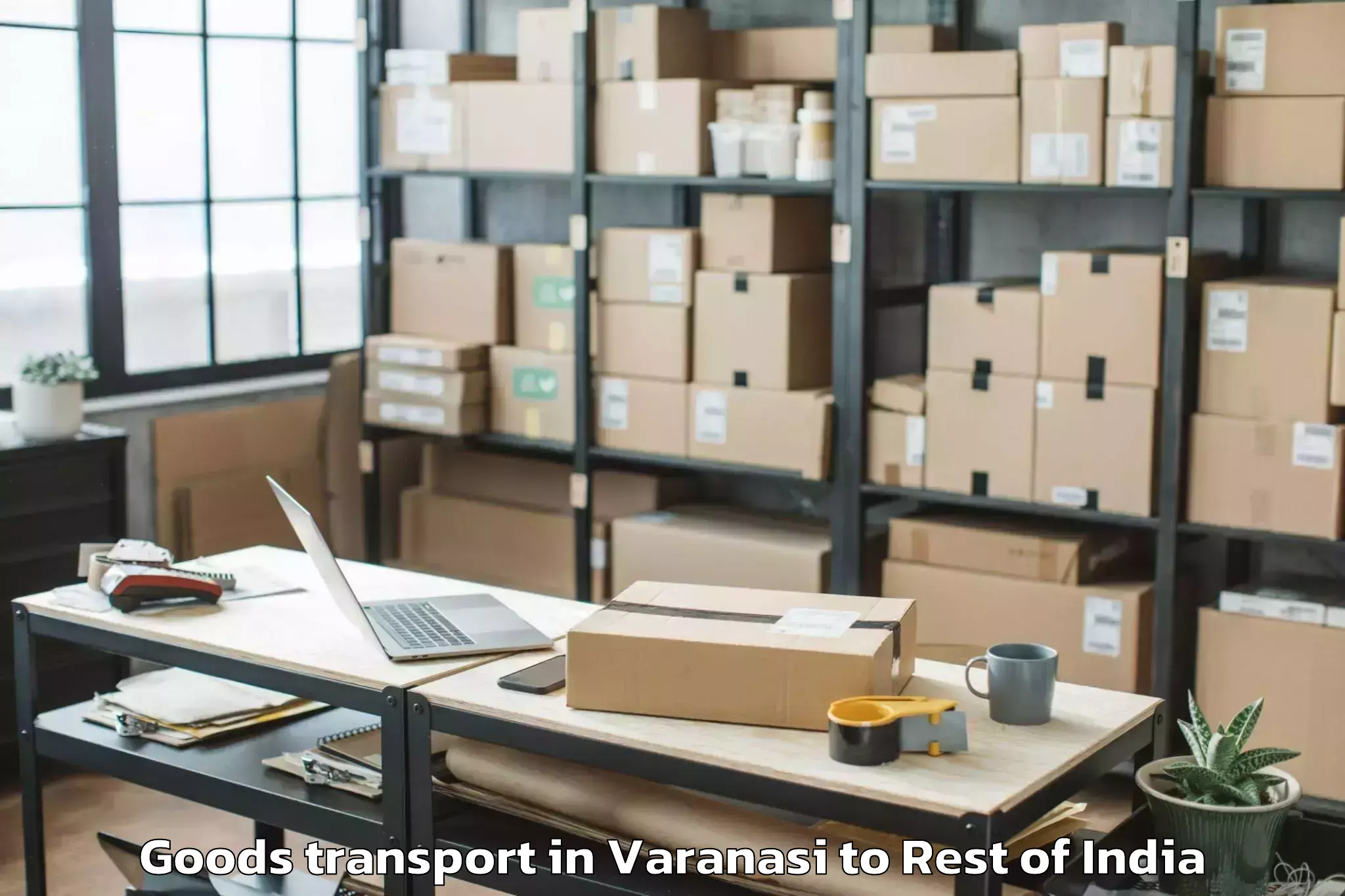 Reliable Varanasi to Zanskar Goods Transport